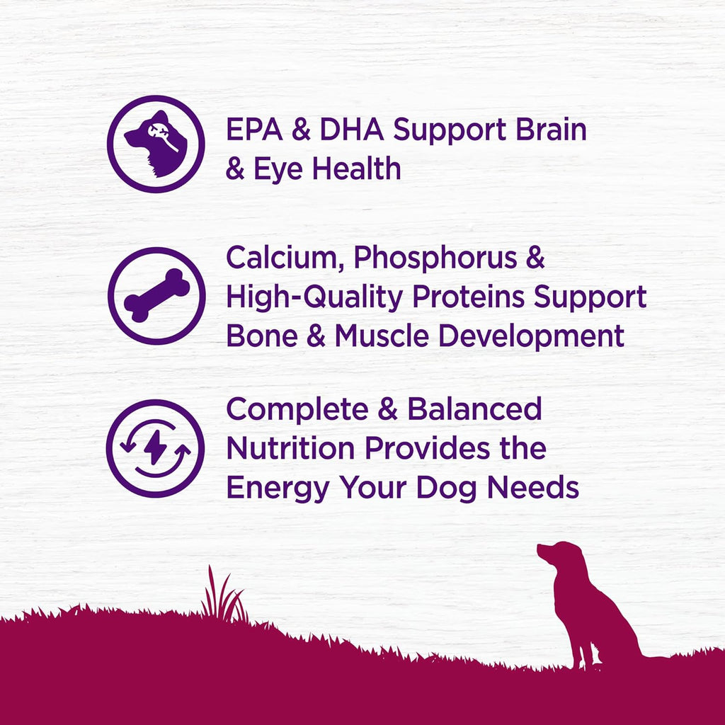 Complete Health Natural Dry Small Breed Dog Food Small Breed Puppy Turkey, Salmon & Oatmeal